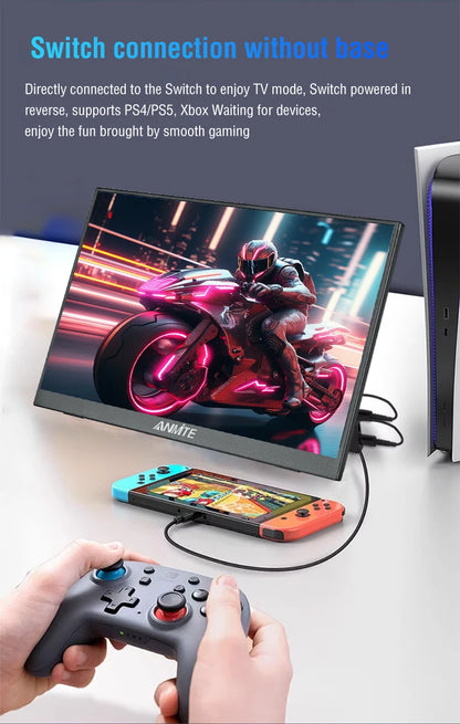 Anmite 15.6-Inch Touch Monitor
