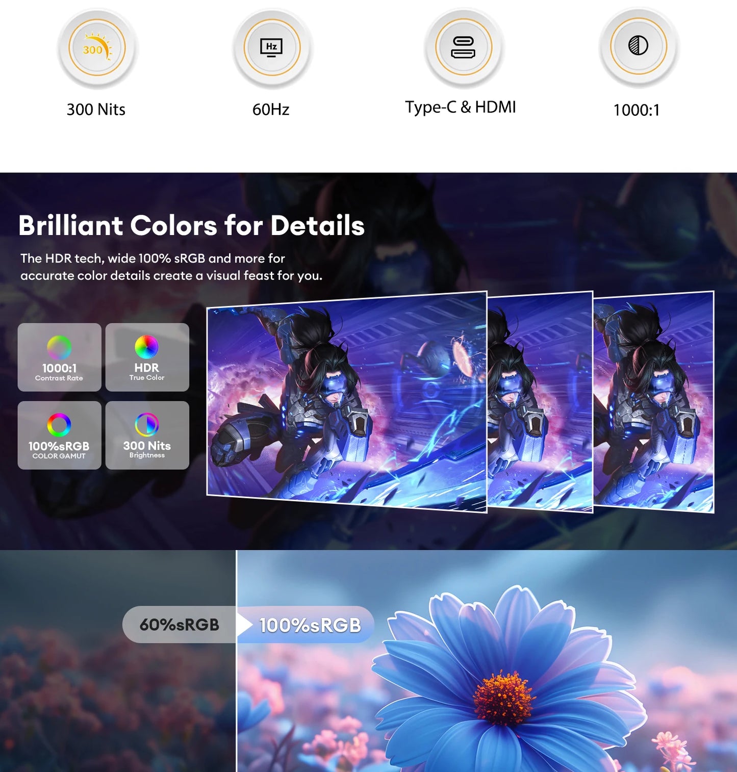 ZEUSLAP 15.6 FHD Monitor