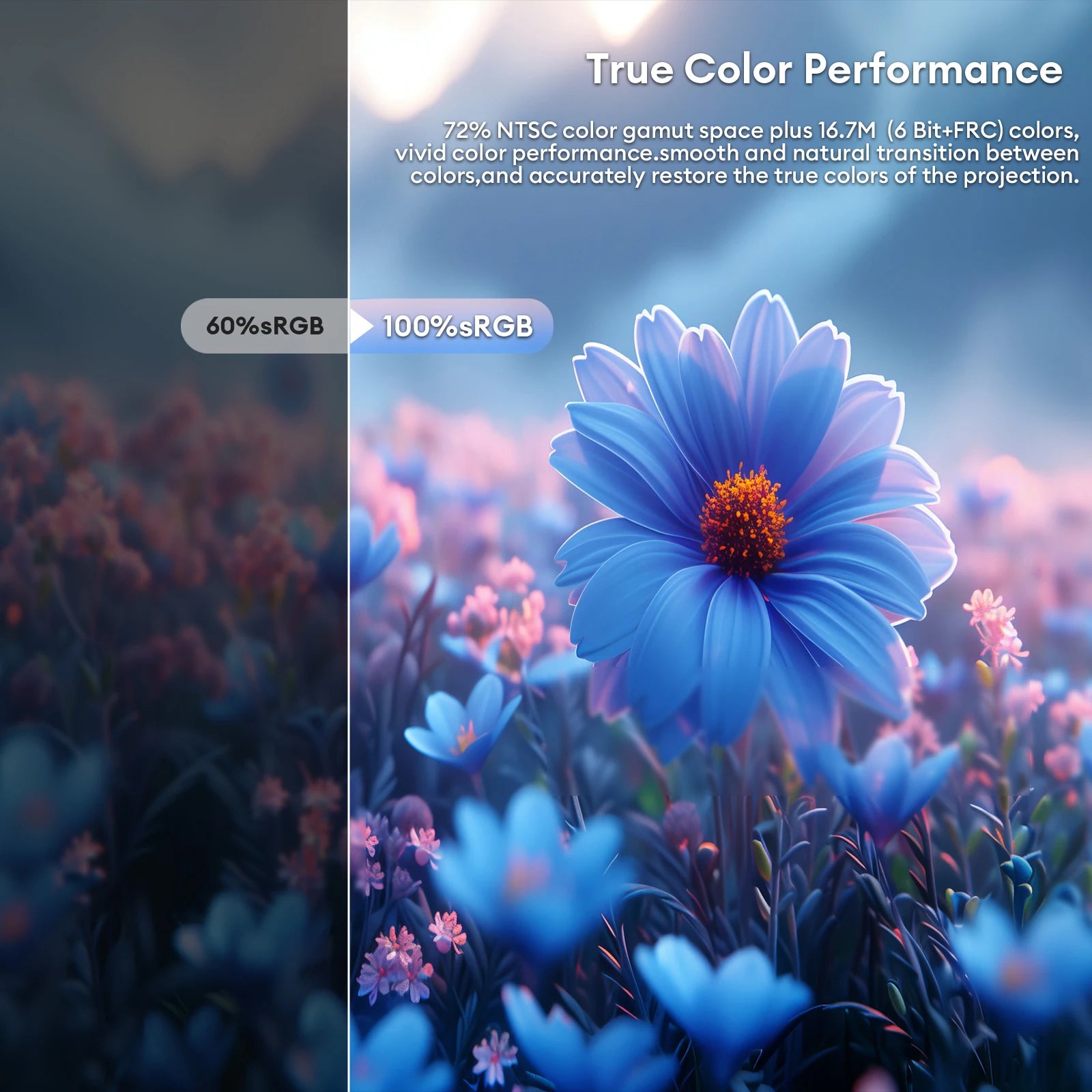 ZEUSLAP 15.6 FHD Monitor