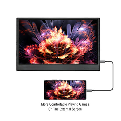 Anmite 15.6-Inch Touch Monitor