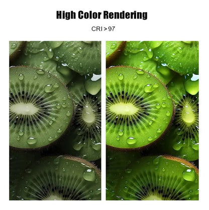 LED Photography Selfie Light